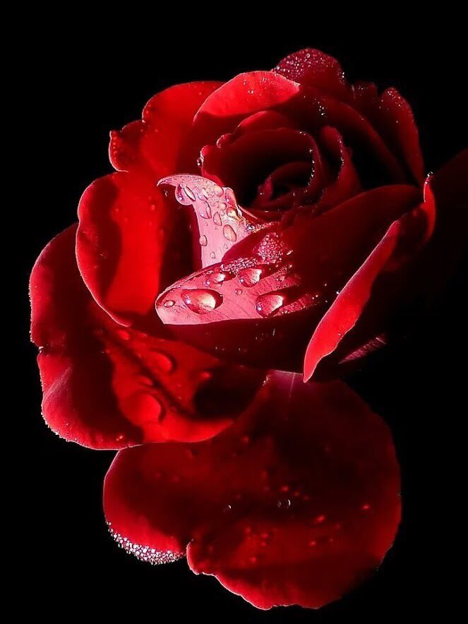 tuncay6969's tweet photo. HAPPY NEW YEAR❤️❤️❤️ https://t.co/OtIHVkJ3vj
