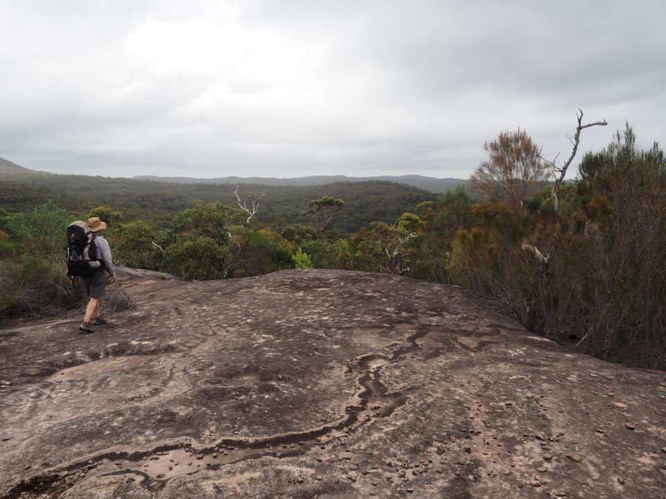 I didn’t get out hiking as much as I’d have liked this year, but loved getting out on part of the Great North Walk and in the Royal National Park. More next year!