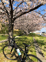 Then around spring, I started preparing for total pandemic mode.Essential appliances bought, streaming and racing gear for the inside, and cycling for the outside.