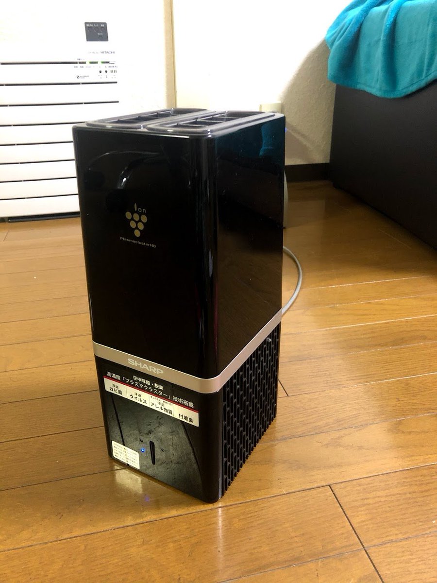 Then around spring, I started preparing for total pandemic mode.Essential appliances bought, streaming and racing gear for the inside, and cycling for the outside.