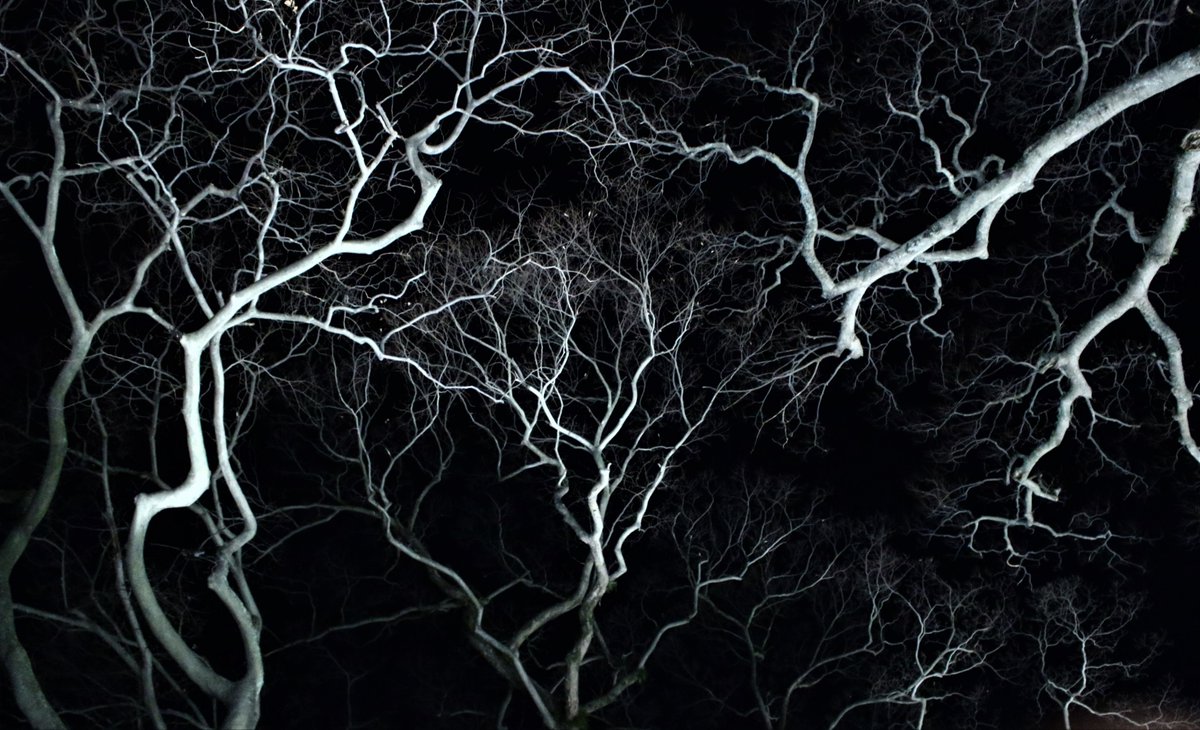 ブレアウィッチプロジェクト