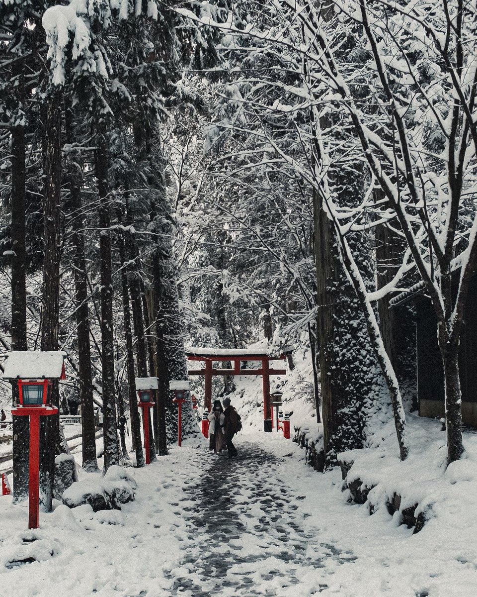 tarro_san's tweet photo. 2020年最後の日に見た雪降る貴船神社がとても美しかった。 https://t.co/v3cIGFwS5B