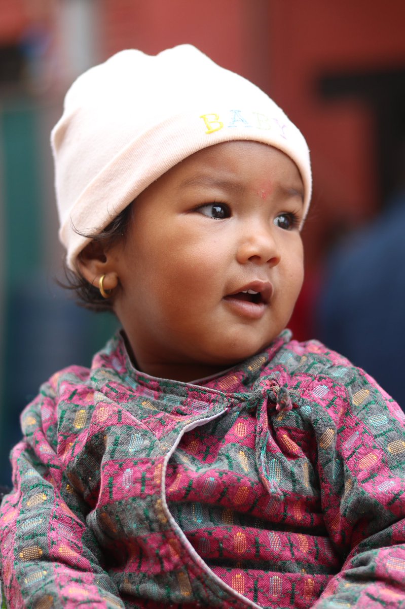 So as we approach 2021, spare a thought for the wonderful people of Nepal  who have had a real struggle in 2020. At least we don’t have to worry about the bears stealing the online shopping order.