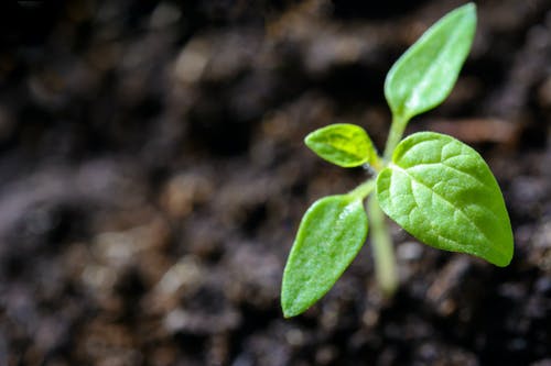 o2hgroup's tweet photo. #KnowledgeIntensive investments focus primarily on innovation. The UK is perfectly placed to build on its high quality academic and scientific foundations...

Read more in the blog post by @KirstG1 - https://t.co/qktKS4yEKN

#o2hventures #EIS #Seeding #Investing #Funding #Biotech https://t.co/EYm1VXU0vy