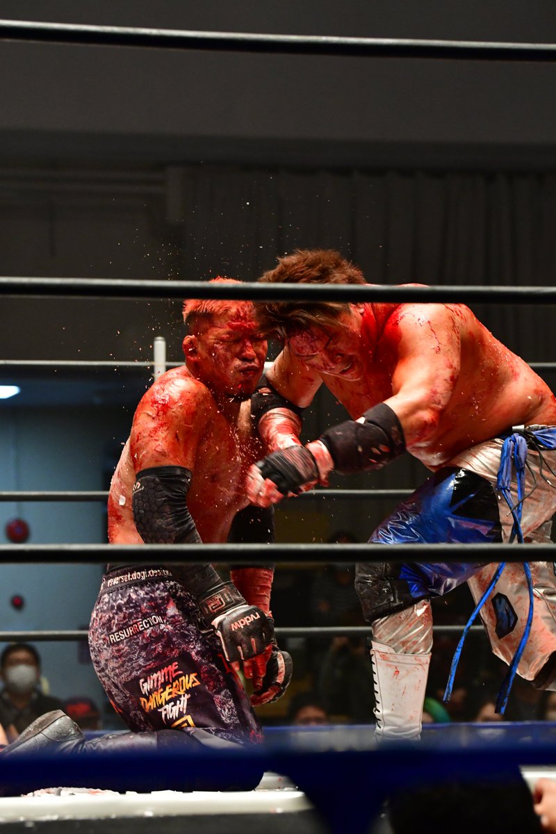 しろ Pwp Penguin Twitter