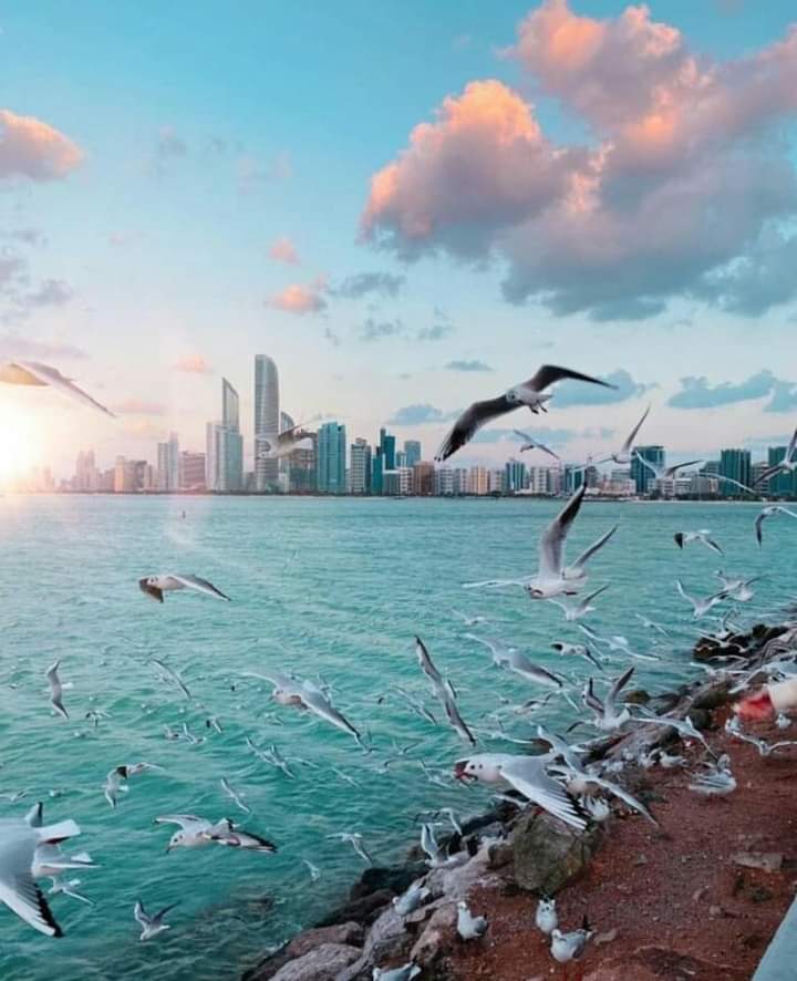 صَبآح  الهُدوء 
نسألك اللهُم فِي هذا الصَبآح
أن تَسر خُواطِرنآ بِگل مآهو جَميل.