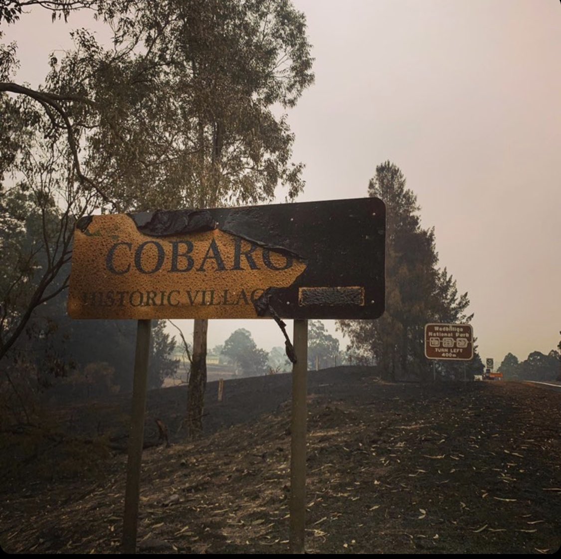 As you well know, January was consumed by fire. By January 3, we had 30 volunteers and 4000 places listed with us.