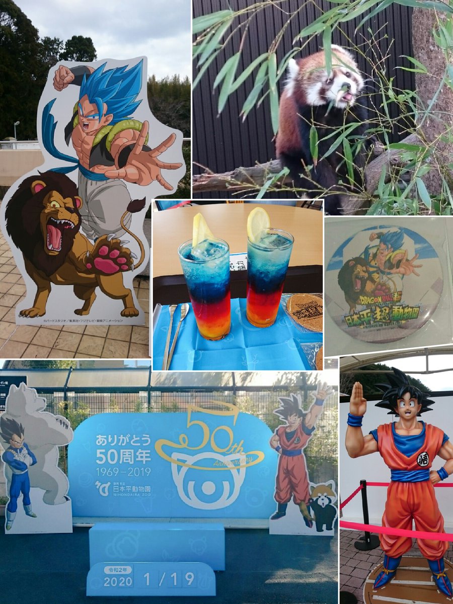 mk1214_db's tweet photo. 2020年の思い出TOP4
🐾日本平動物園
最高の一日❗❗レッサーパンダちゃんめちゃかわでした😍
📱ドッカンバトル
5周年生放送見ておとーさんず目当てで開始😆
🐲一番くじ
初のロット買い経験❗でぇばくし💣💥もした笑
🎊キャンペーン当選&amp;グッズ収集
びっくり当選👀✨✨推しのグッズ収集は楽しい&amp;幸せ😊 https://t.co/5PAzFphqsW