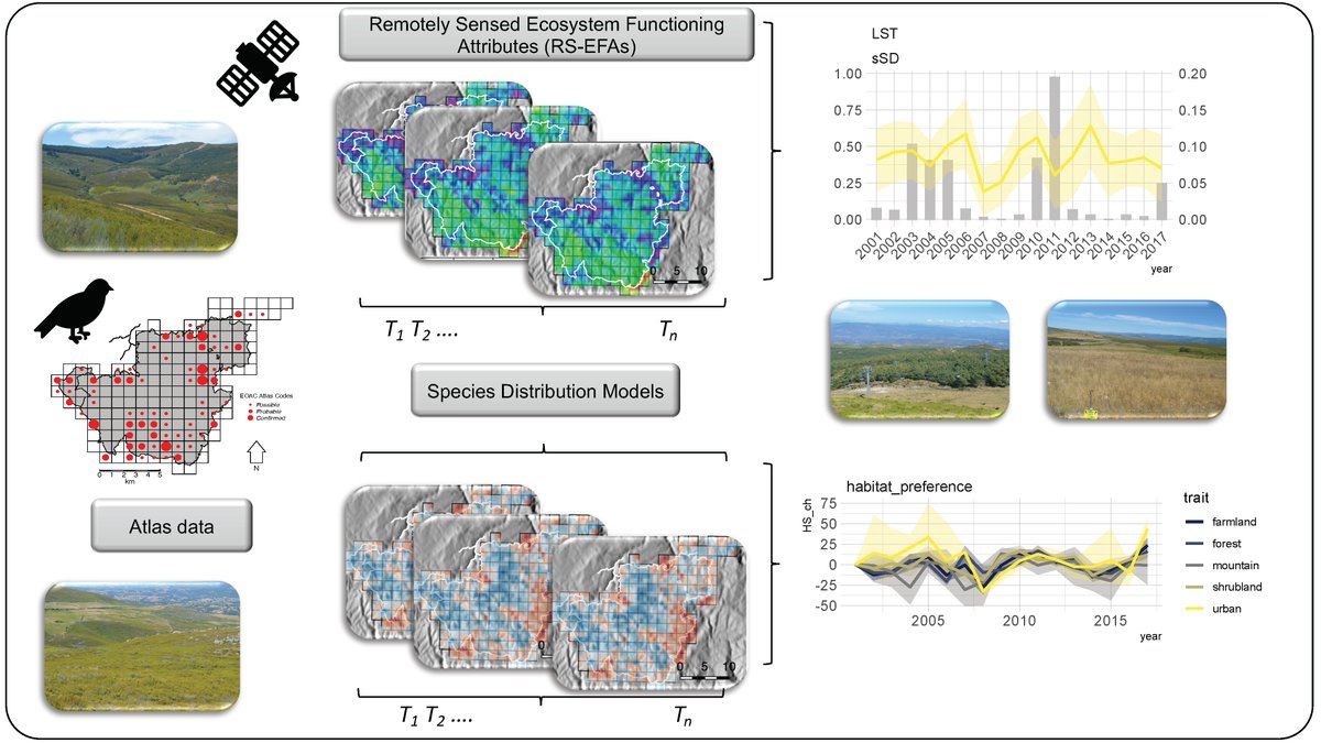 RemoteSens_MDPI's tweet photo. Model-Assisted #Bird #Monitoring Based on #RemotelySensed #Ecosystem Functioning and #Atlas #Data
by Adrián Regos, Pablo Gómez-Rodríguez, et al
👉https://t.co/5aLw9bN6MU
#vegetationproductivity
#biodiversity
#landsurfacetemperature
#remotesensing https://t.co/Ay4t4yCyan