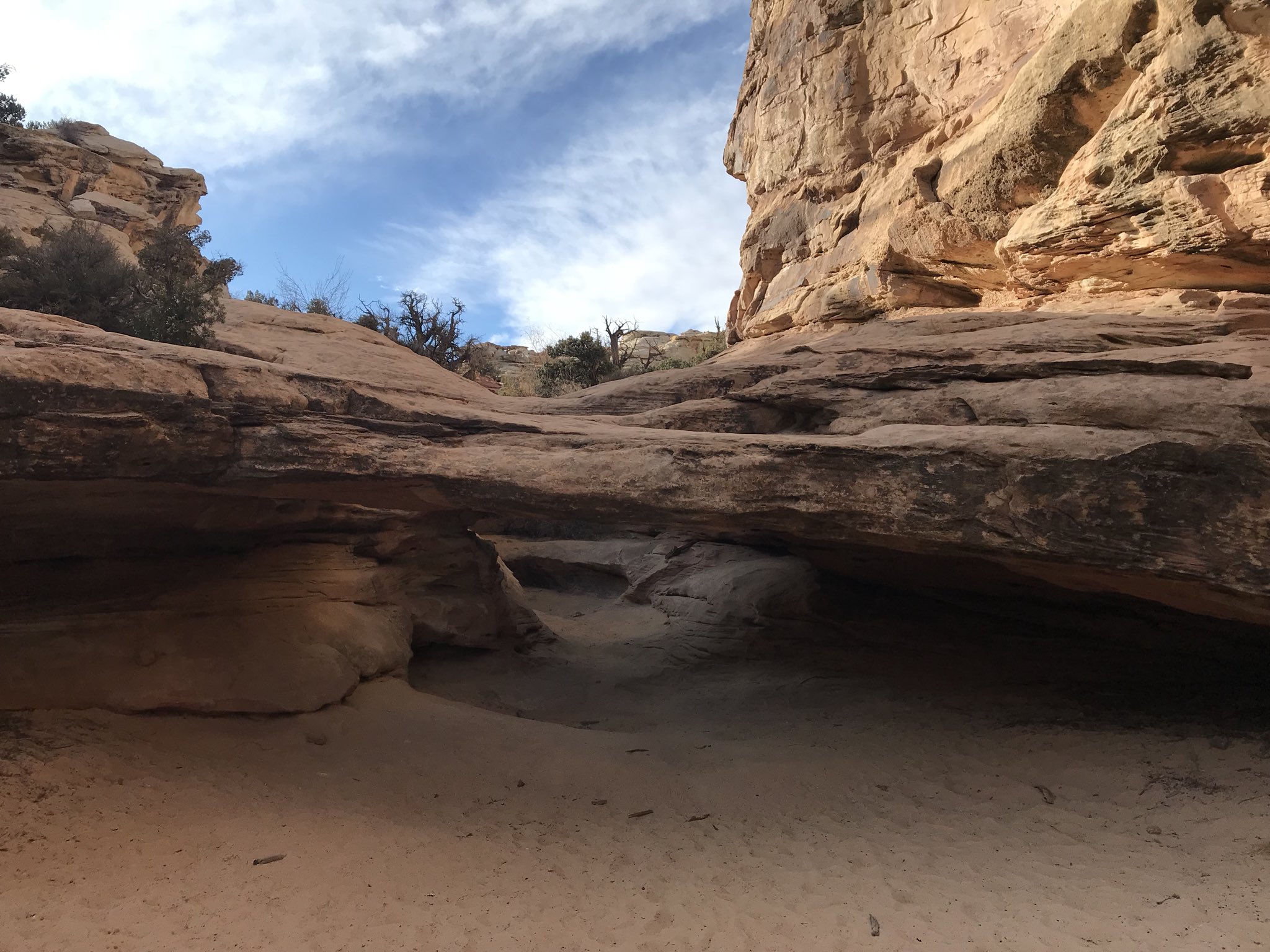 Happy Birthday Val Kilmer. You were amazing as Dieter Von Cunth in the movie MacGruber 