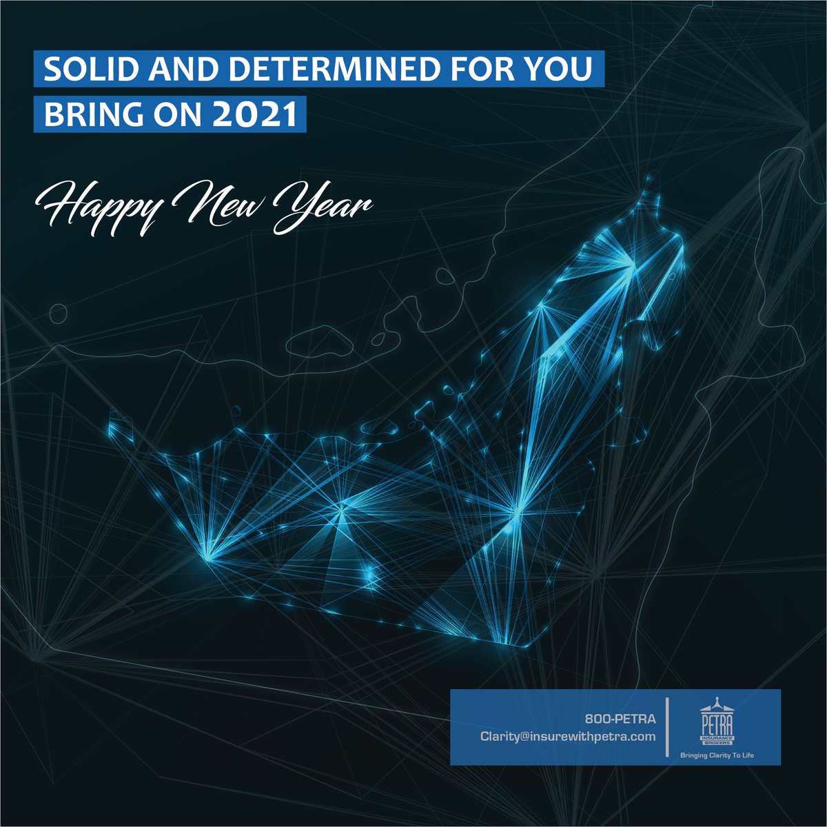 2020 taught us to expect the unexpected.

With all that was brought to us, we managed to transform and evolve.

Wishing you all a happy, successful and bright new year!

#insurewithpetra #newyear2021 #newyear #determined #solid #insure