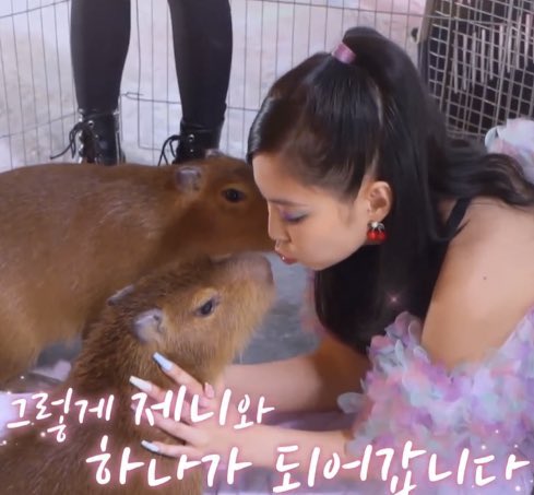 Jisoo was scared of the capybara yet she still there with Jennie 