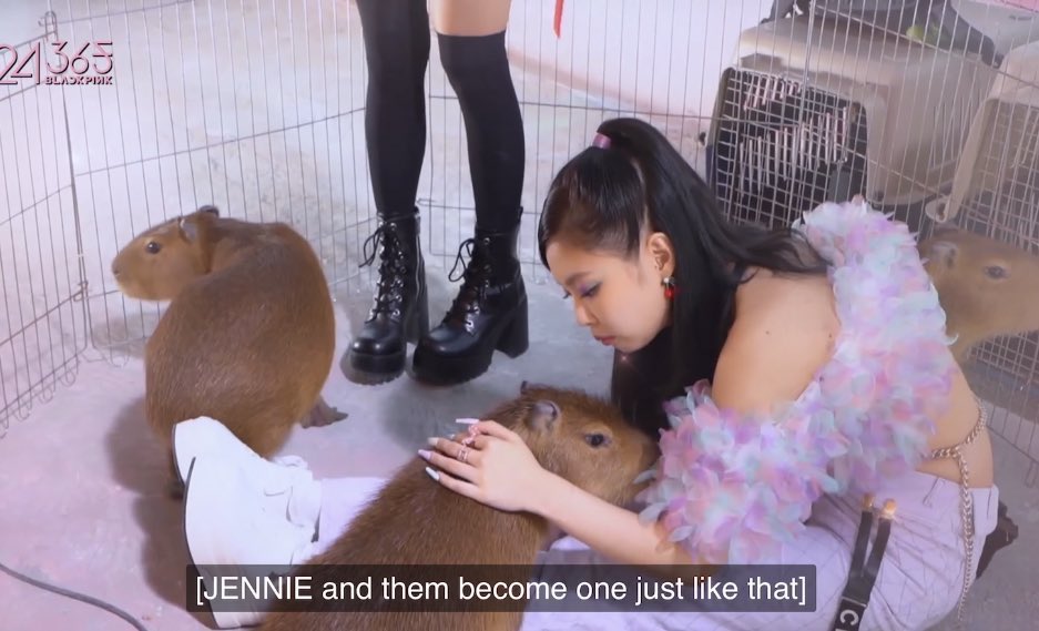 Jisoo was scared of the capybara yet she still there with Jennie 