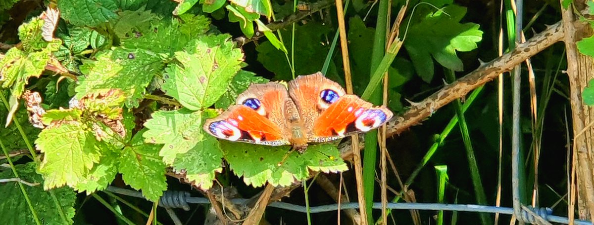 Of course not many pubs open on our walks but finding out wandering around in the country is something we really enjoy has been one of the few positives from this last 12 months. 6/9
