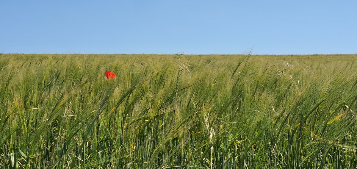 Of course not many pubs open on our walks but finding out wandering around in the country is something we really enjoy has been one of the few positives from this last 12 months. 6/9