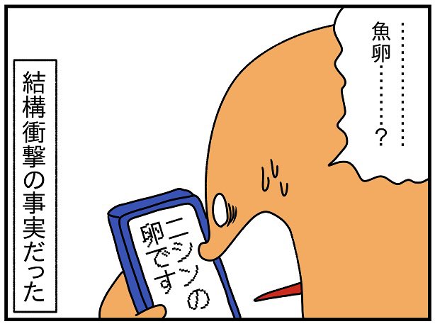 根本から勘違いしてたこと

#おせち 