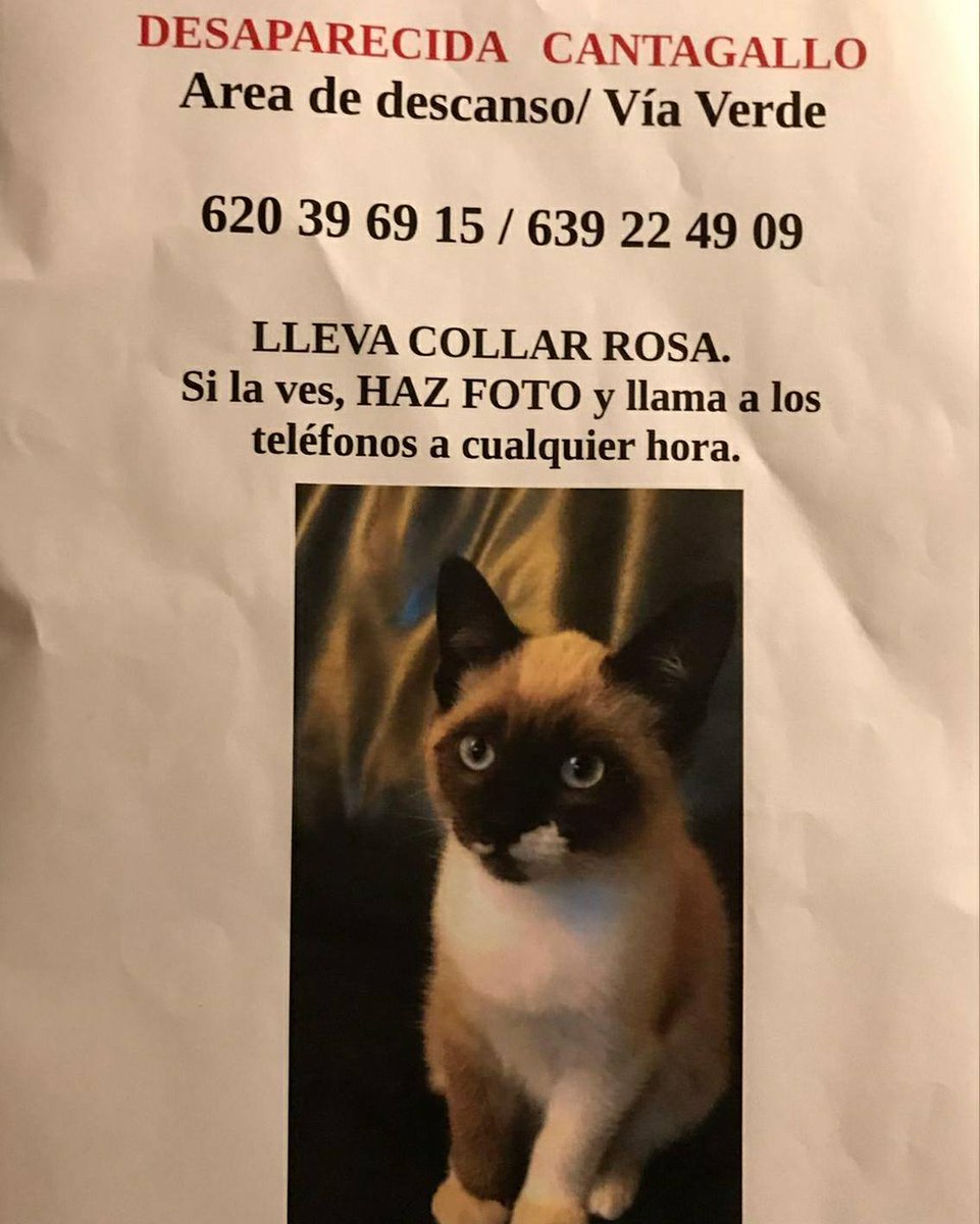 ▶️ Nos llega una petición de colaboración ciudadana... Hace tiempo que se descuidó y se perdió pero la esperanza en encontrarla no❤️