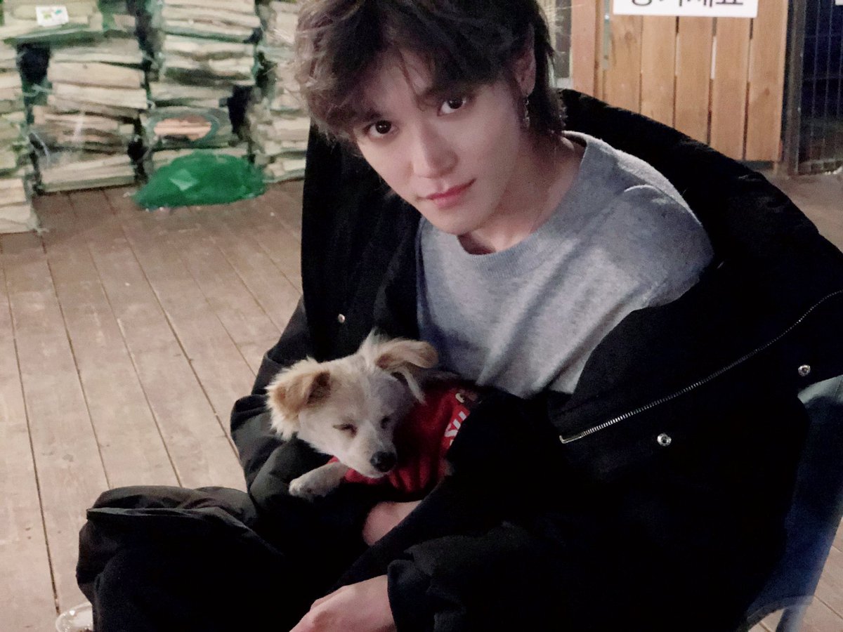 the same two Taeyong pictures again and again bcs he breathed, a thread.