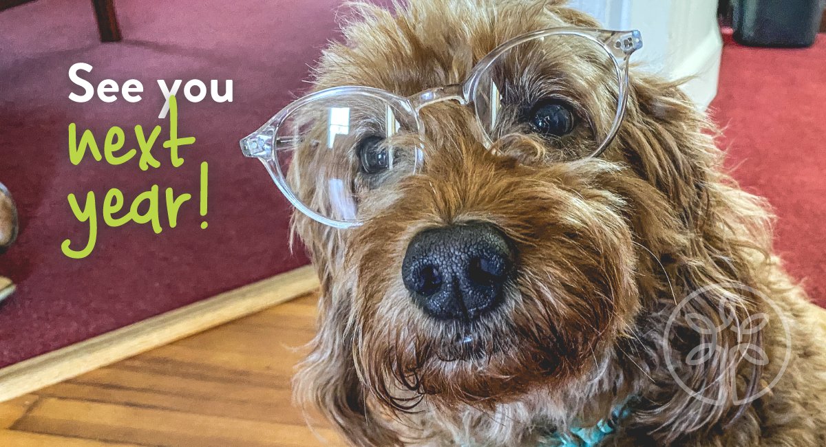 Angel Oak Creative tweet media