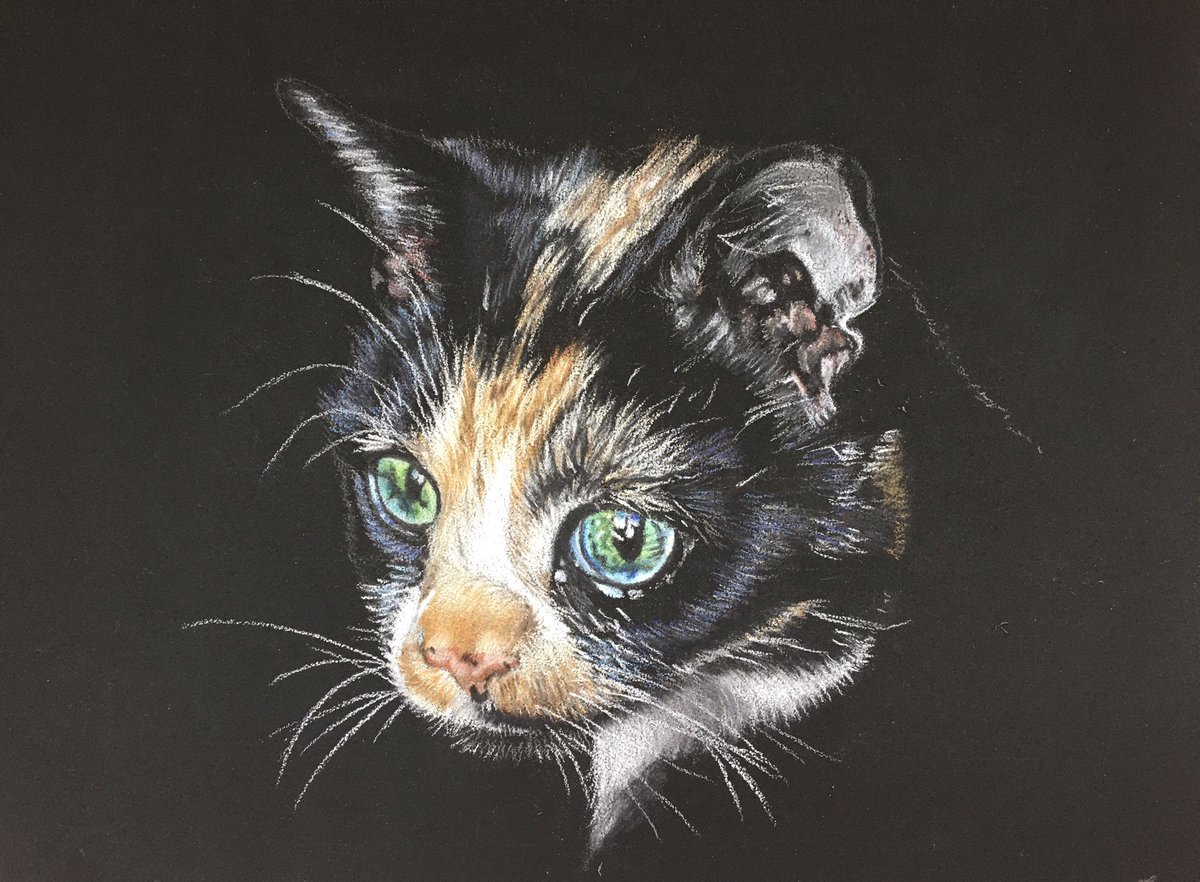 This little one arrived safe and sound in time for Christmas and was very well received by her owner 😊 I love a happy ending #catart #colourpencilartist #blackpaperdrawing #canson #fabercastell #polychromospencils #petpotraitartist #CatsOnTwitter #catsofinstagram