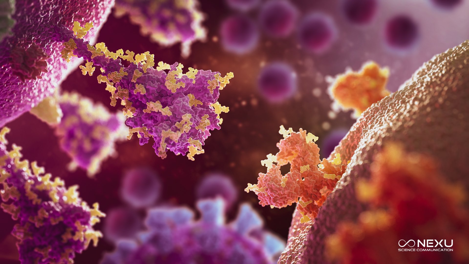 Eqk4BGcWMAMED0L?format=jpg&name=large