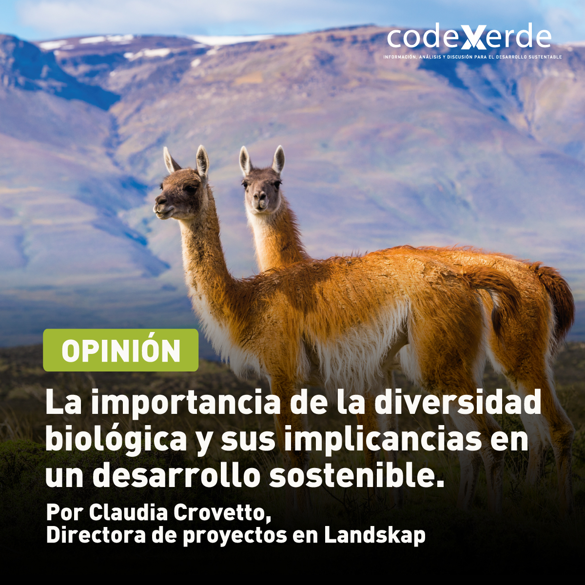 [#ColumnasMásLeidas2020 ✍ ] "Desde el punto de vista económico, la diversidad biológica es el motor de la economía mundial, entregándonos bienes y servicios", por @ClauCrovetto, directora proyectos Landskap bit.ly/3e7yfQy