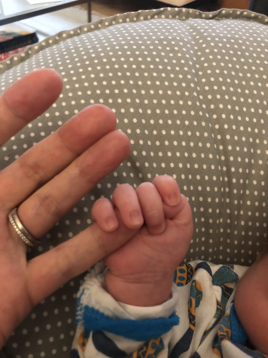 erica orden tweet media