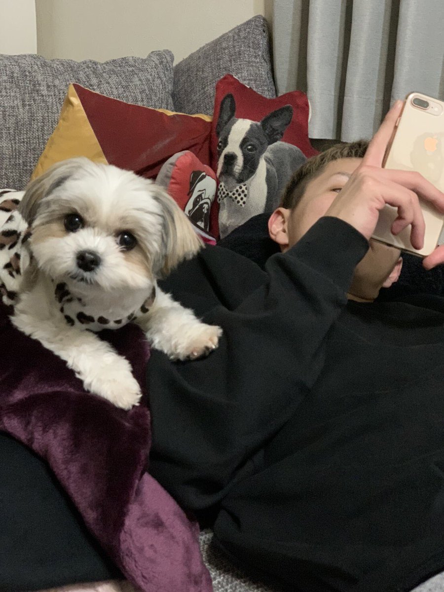 人生邁進して。
とんとん拍子に。
這い上がって。　
最高の舞台に立てるように
頑張ります。
2021年楽しみや