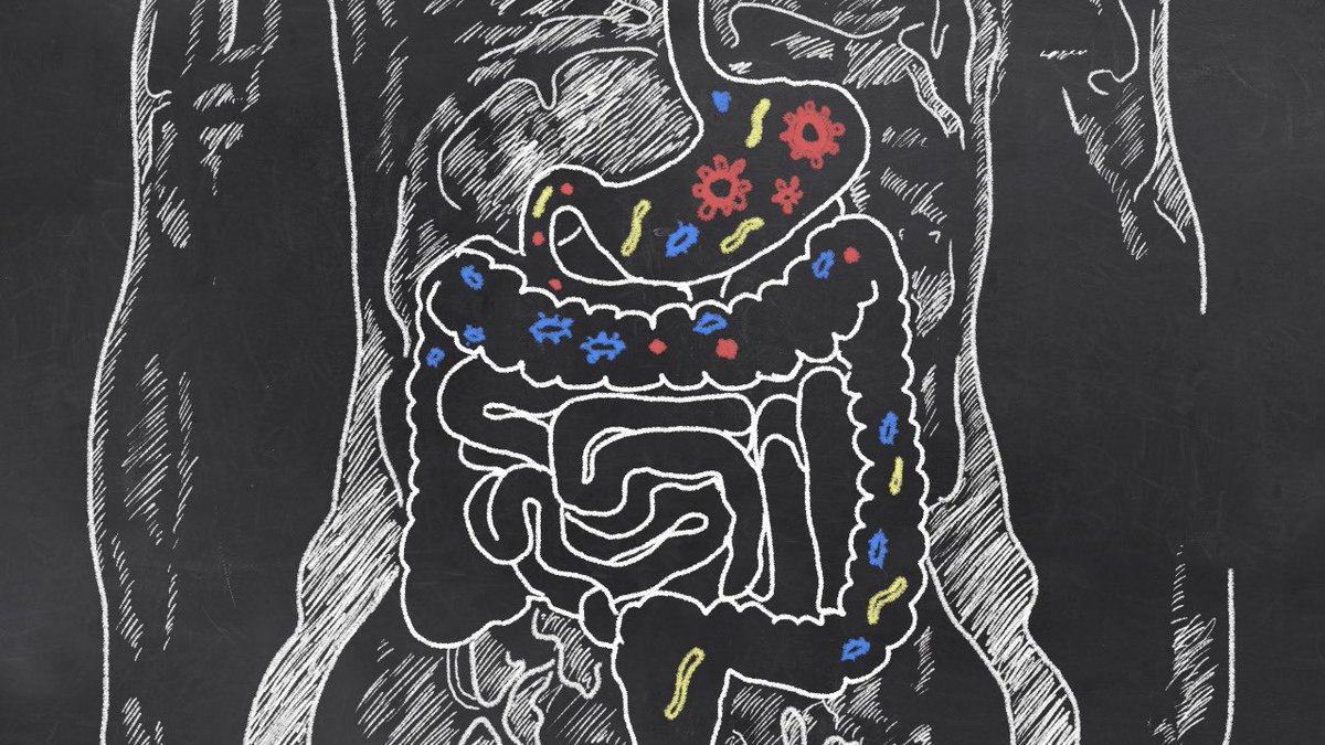 5. GUT REMODELATIONYou know it, happy gut = happy mind.After all, most of your “happy” neurotransmitters are produced there:- 50% of your Dopamine- 95% of your Serotonin- GABA, Melatonin, etcWouldn’t it be crazy that a treat like CACAO...Improved your GUT FLORA?