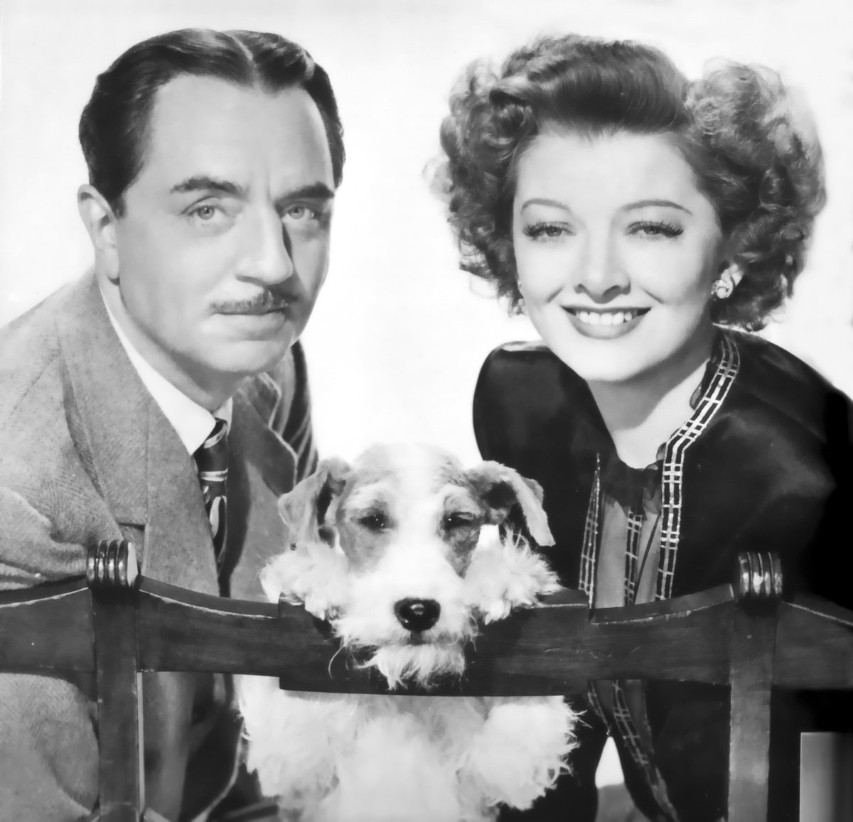 Happy New Year's Eve, everybody! There's plenty more Nick, Nora, and Asta to come!  #TheThinMan  #TCMParty  #BillandMyrnaForever