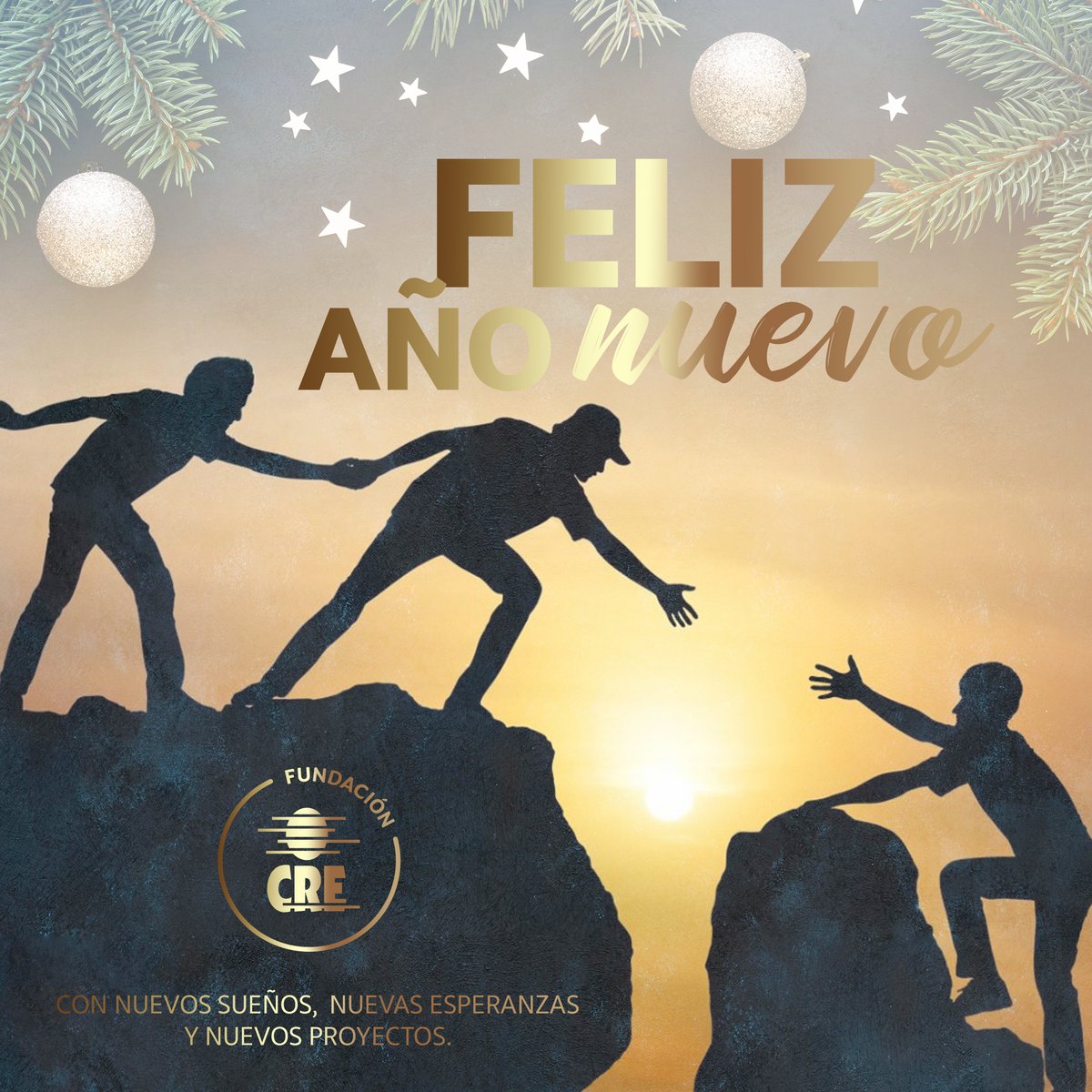 Fundacion CRE tweet media