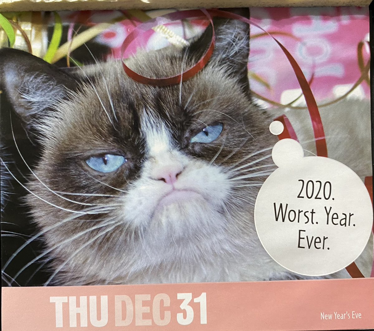 The last page of my #2020calendar thank your #grumpycat @RealGrumpyCat  for the perfect 👌 and fitting desk calendar 💞
#NewYearsEve #2020worstyear #2021makeawish #GoodBye2020