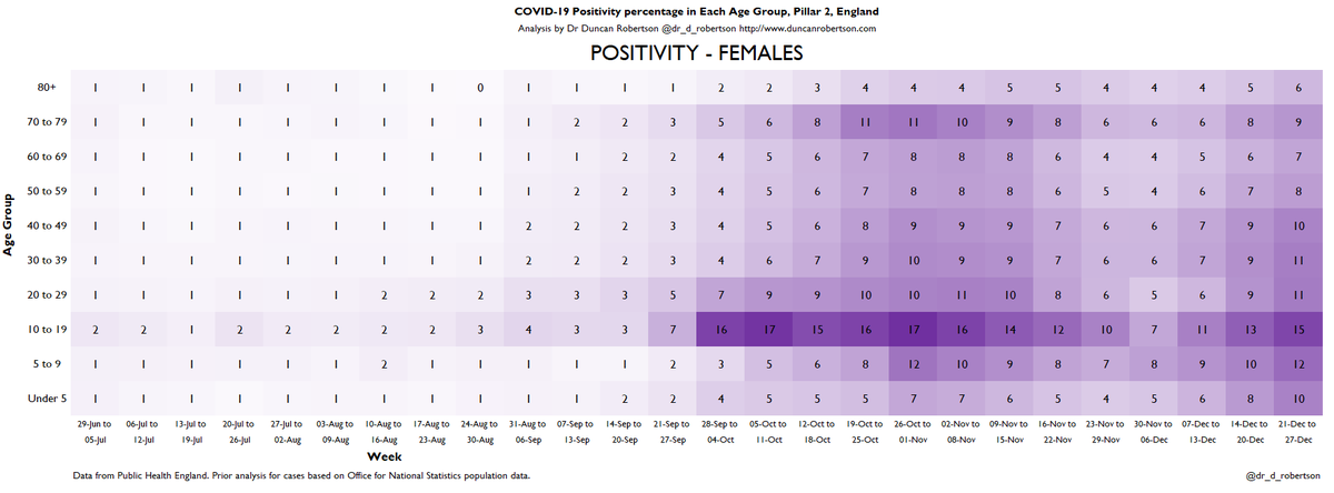 However, not all cases are detected, so we can look at positivity (number of people testing positive / number of people being tested).Over 10% positivity in under-80-year-old males and in under-50-year old females.For the first time, there is over-10% positivity in children.