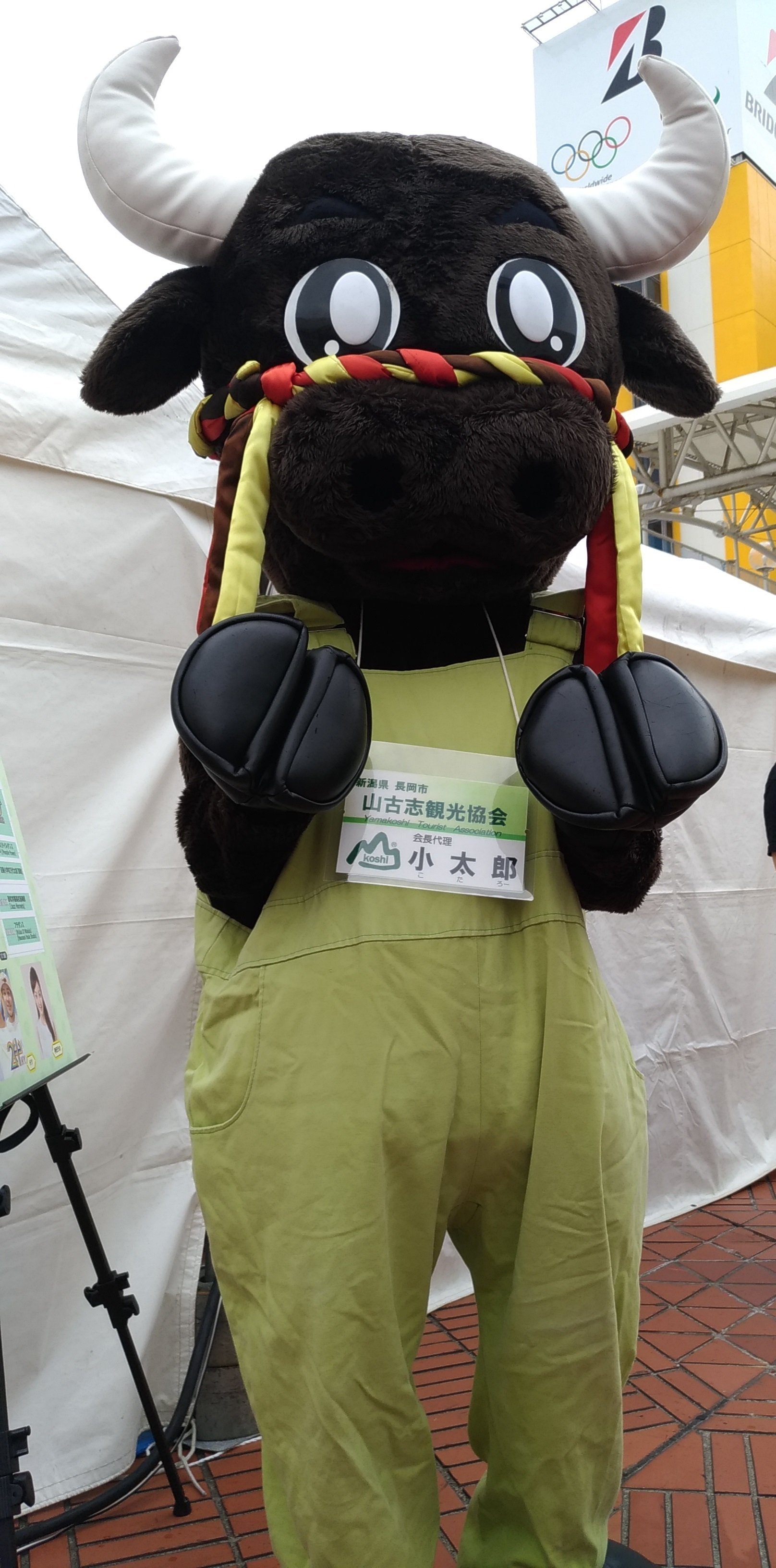 تويتر ともなが على تويتر あけましておめでとうございます 21年はよい年になるといいですね 今年は丑年ですね 牛と言えば 牛の角つき祭で有名な長岡市山古志のキャラクター 小太郎君 T Co Vz6grsazop