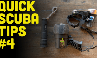 ScubaverseMedia's tweet photo. Quick Scuba Tips #4: How To Choose An Underwater Light (Watch Video). @DiversReady are looking at dive lights.
#scuba #diving #video #tips #dive #light #torch #DiversReady #gear #equipment
https://t.co/rq4m7g6VEA https://t.co/jANBEKttzu