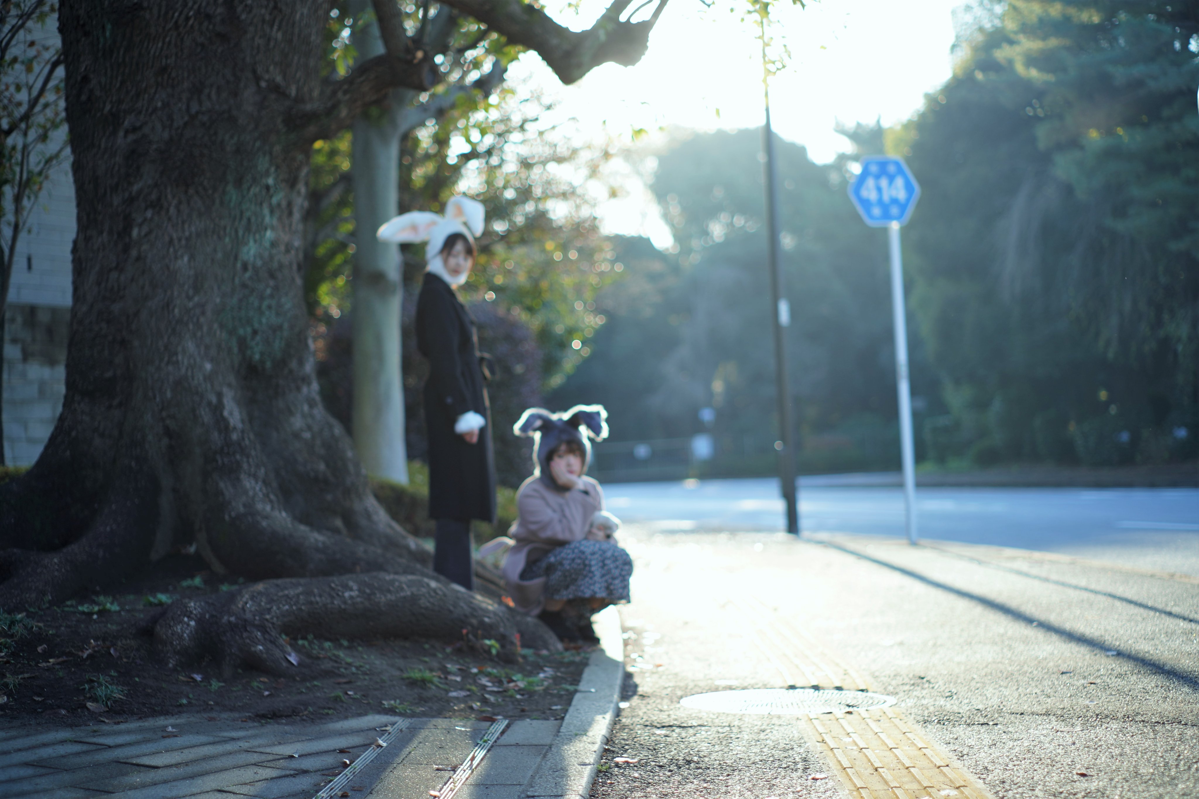 はち 今年撮影した愛するべきピンボケ写真 注 何人かはピントを外す達人がいます ピンボケ写真 個人的にはみんな好き T Co Yamvrshrjo Twitter