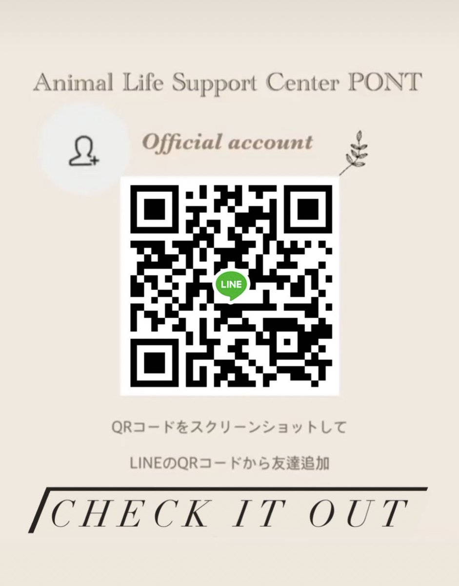 PONT45337791's tweet photo. PONT専用LINE☟

＊飼育相談
＊ペットホテル予約
＊トリミング予約
＊アニマルセラピー依頼

こちらのLINEからお問い合わせください

※返信にお時間をいただく場合があります
予め、ご了承ください

TEL 080-5758-8638 代表 直通番号 https://t.co/55kDMJdGf3