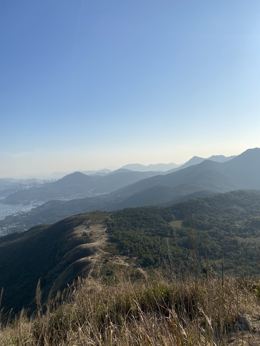 Shing-hon Lam tweet media