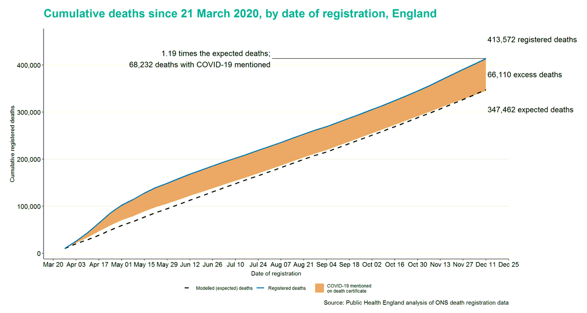 bioinfo_wang's tweet photo. As we look forward to 2021, let us not forget the >66k in the UK who lost their lives too early in 2020 https://t.co/Gye0HAorKA