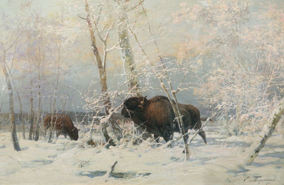 Тихменев Евгений Александрович 1869-1934