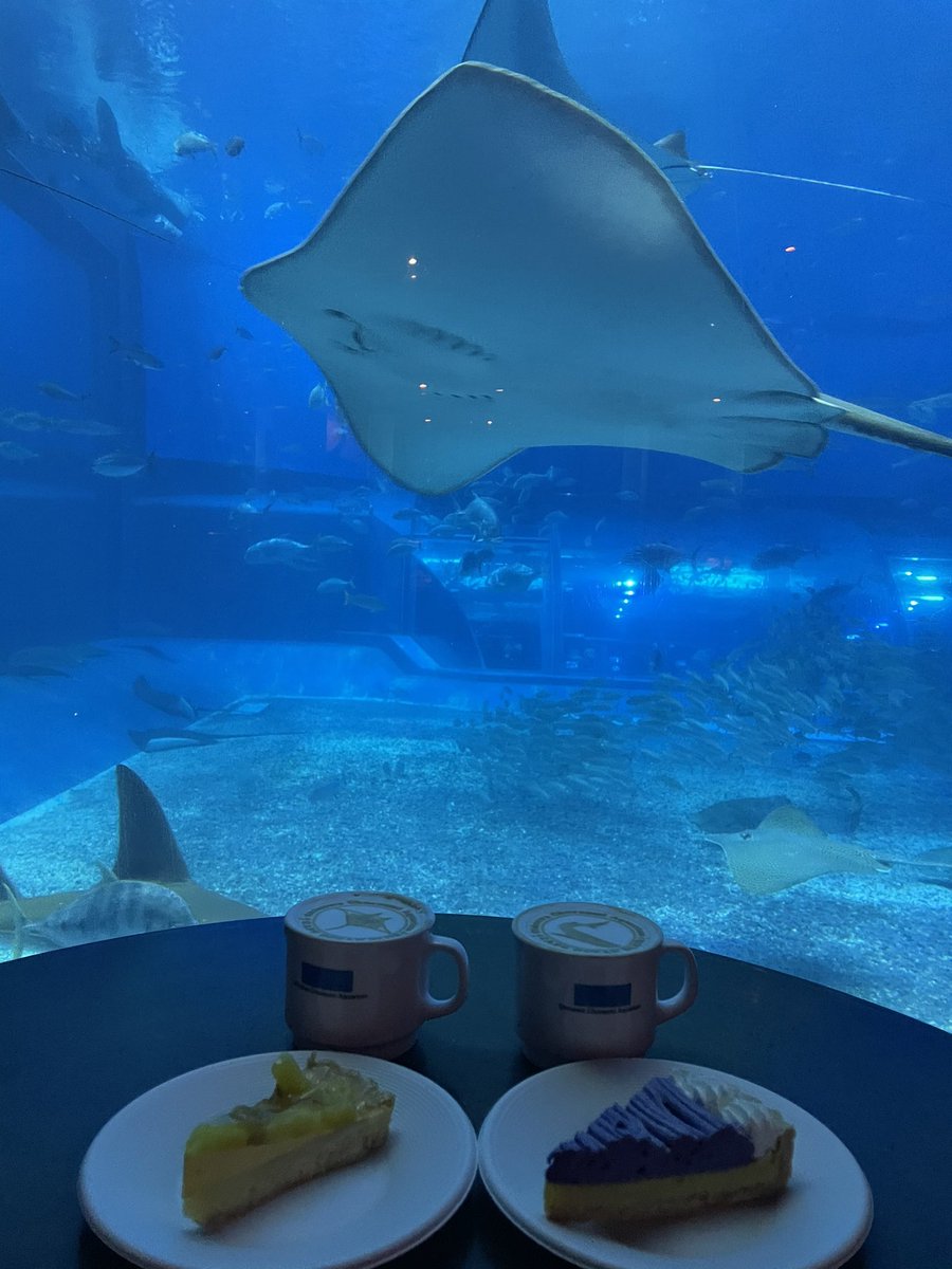カフェオーシャンブルー