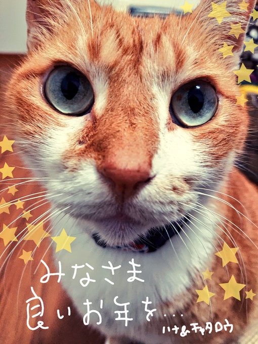 ただいまですのtwitterイラスト検索結果 ただいまですのtwitterイラスト検索結果