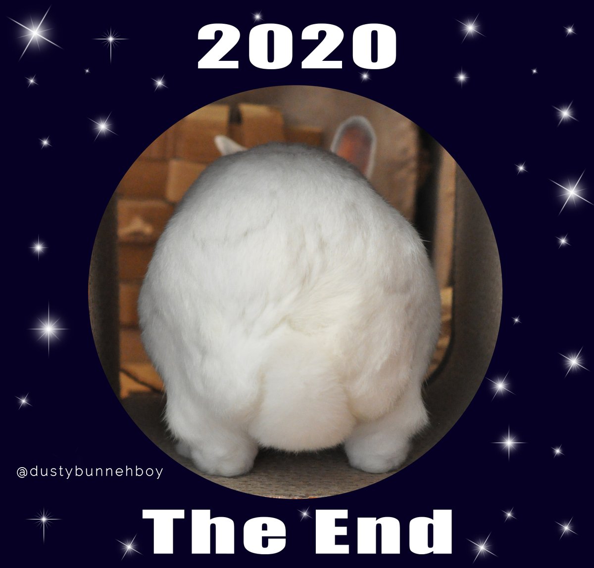 Bye bye 2020...

💖
#NewYearBunnies #HoppyNewYear #BunnyButt #bunnylife #spoiledbunny #adoptedbunny #rescuedbunny #bunniesarefamily #livingwithbunnies #dailycute #dailyfluff #dailylove