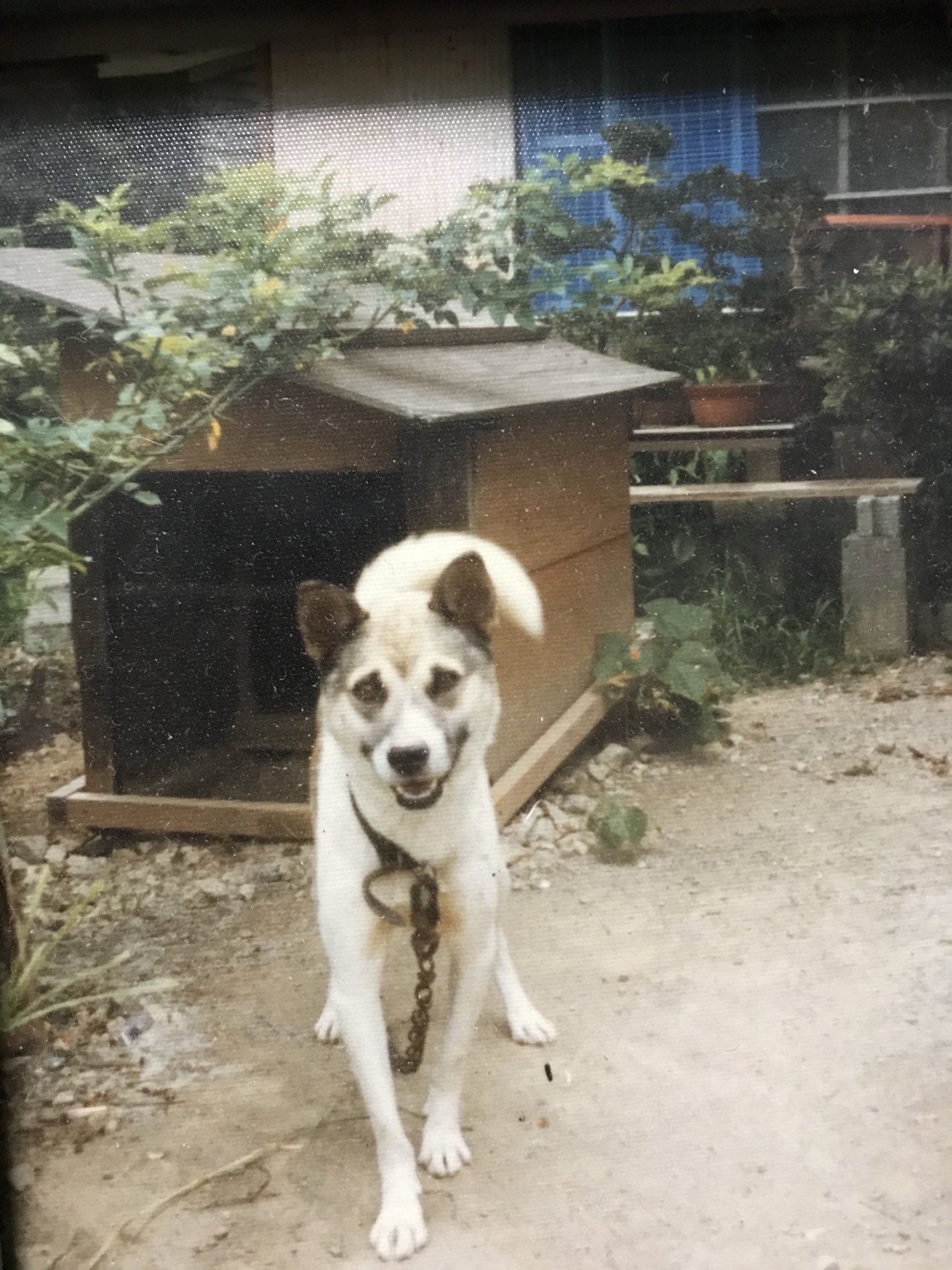 Tweets With Replies By Swear On Daichi Aririra74 232 Twitter