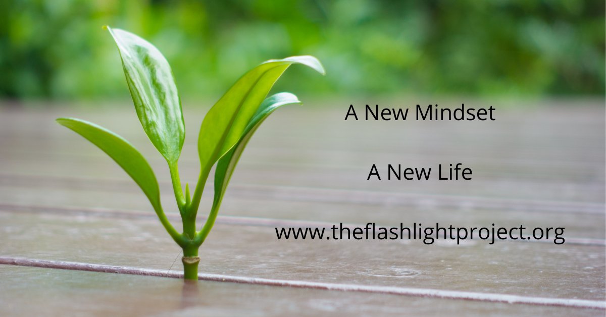 FlashlightProje's tweet image. I am a firm believer that no matter where you are in life, your future can change in unimaginable ways when your mindset changes. The results of that will be different for everyone, of course, but positive thoughts flowing through your mind are powerful.