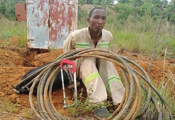 8/ “You shall not steal.” - Exodus 20:15: