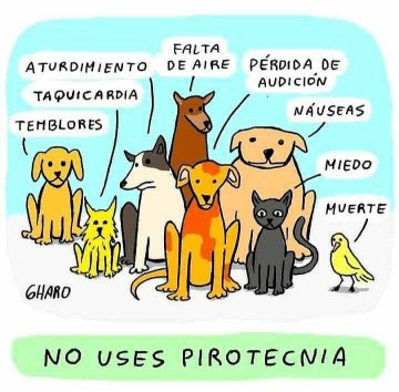 ros045's tweet photo. Por favor no usen pirotecnia 🎇 asustas a los animales, aturdes a los ancianos y enfermos y desencadenas asma y disnea en los enfermos pulmonares por la pólvora, seamos conscientes https://t.co/3XRhPREN4Q