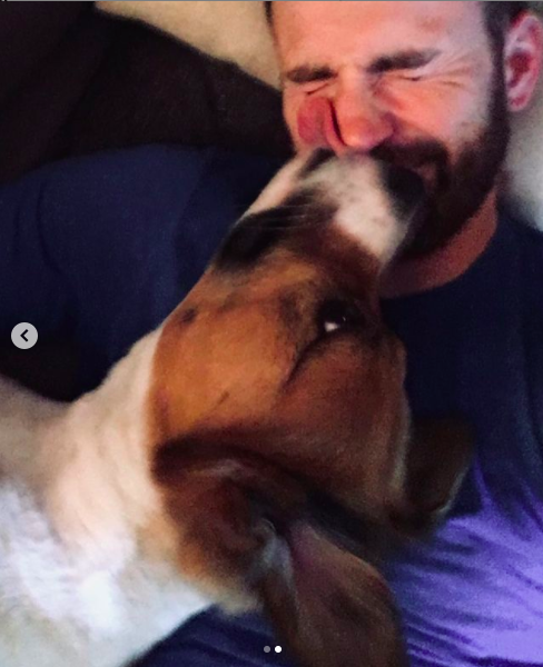 23rd JulyDodger's surgery day!