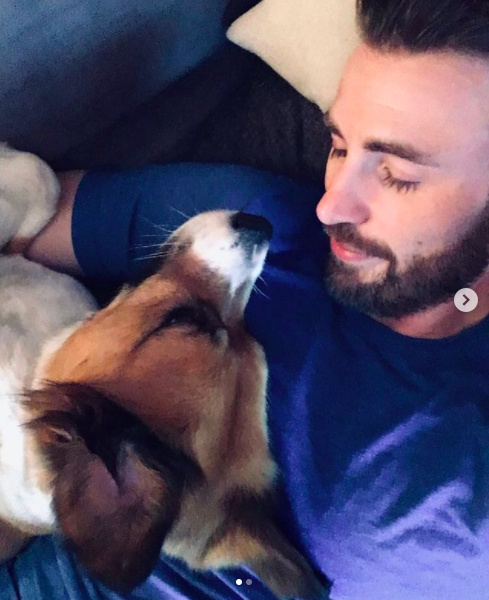 23rd JulyDodger's surgery day!