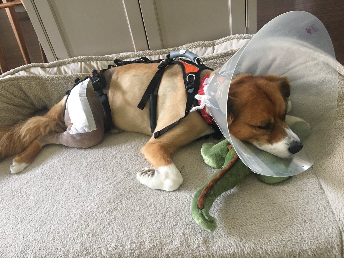 25th Julythe comforts of home